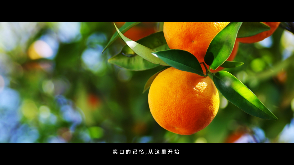 原图1